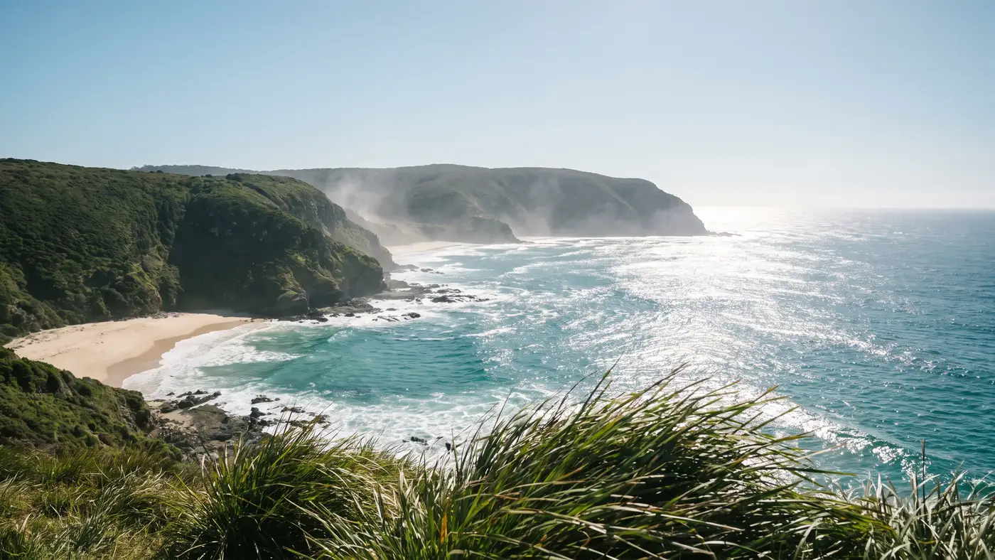A pristine Southern-Hemisphere coastline with turquoise water, pale sand and lush green headland cliffs.